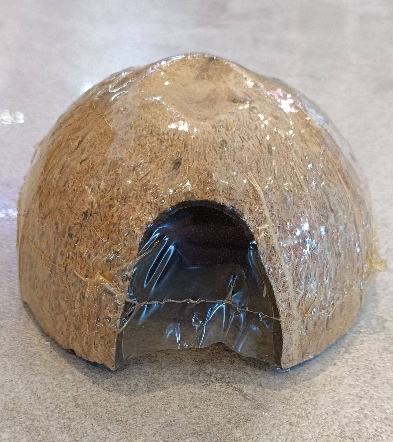 Coconut Shell 1x, Type: Front hole