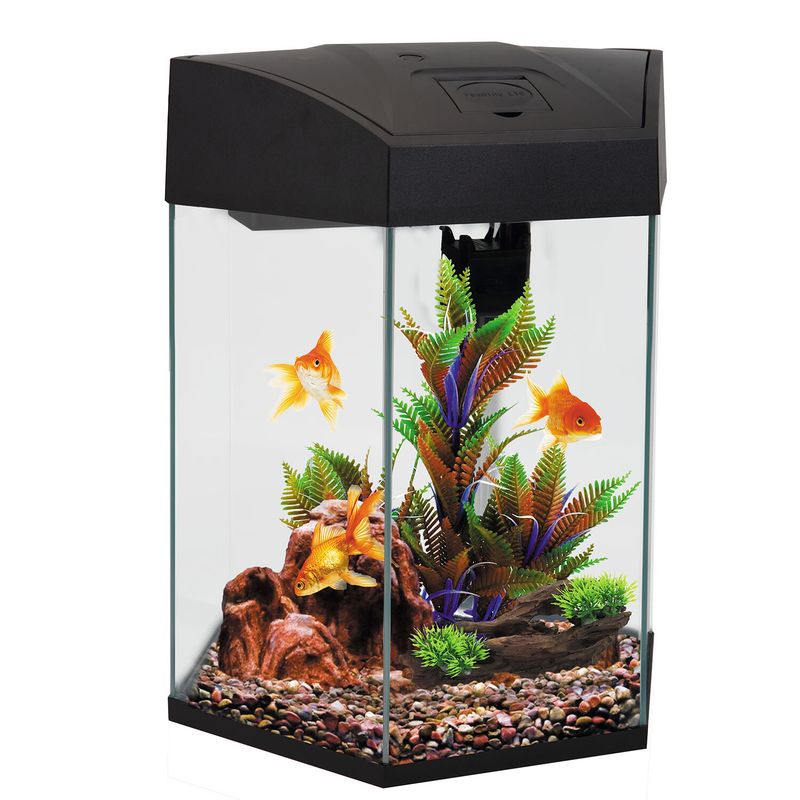 AA Hex Aquarium