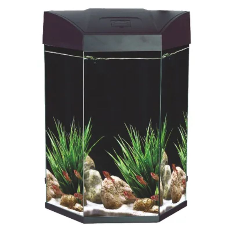AA Hex Aquarium