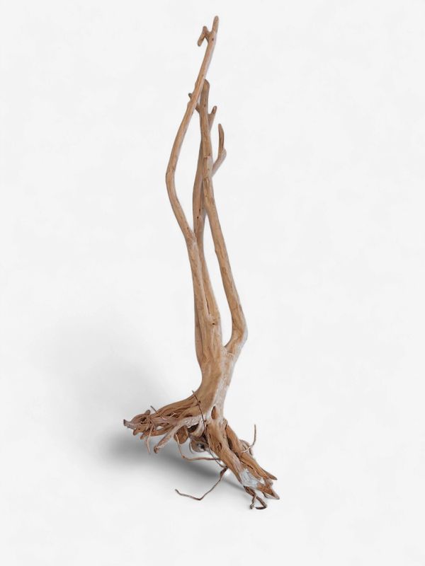Skinny Wood - Show Piece