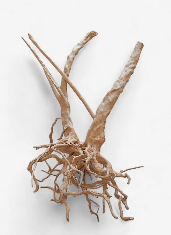 Skinny Wood - Show Piece