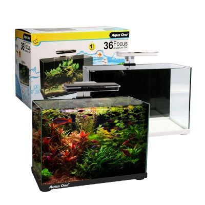 Aqua One Focus 36 Glass Aquarium