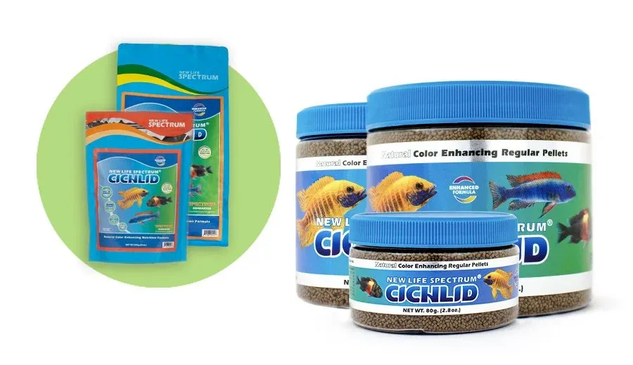 New Life Spectrum Cichlid