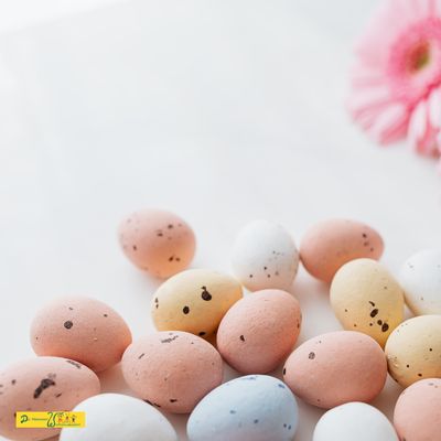 Online Fortbildung April 2026