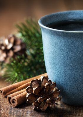 Online Fortbildungen Jänner 2026