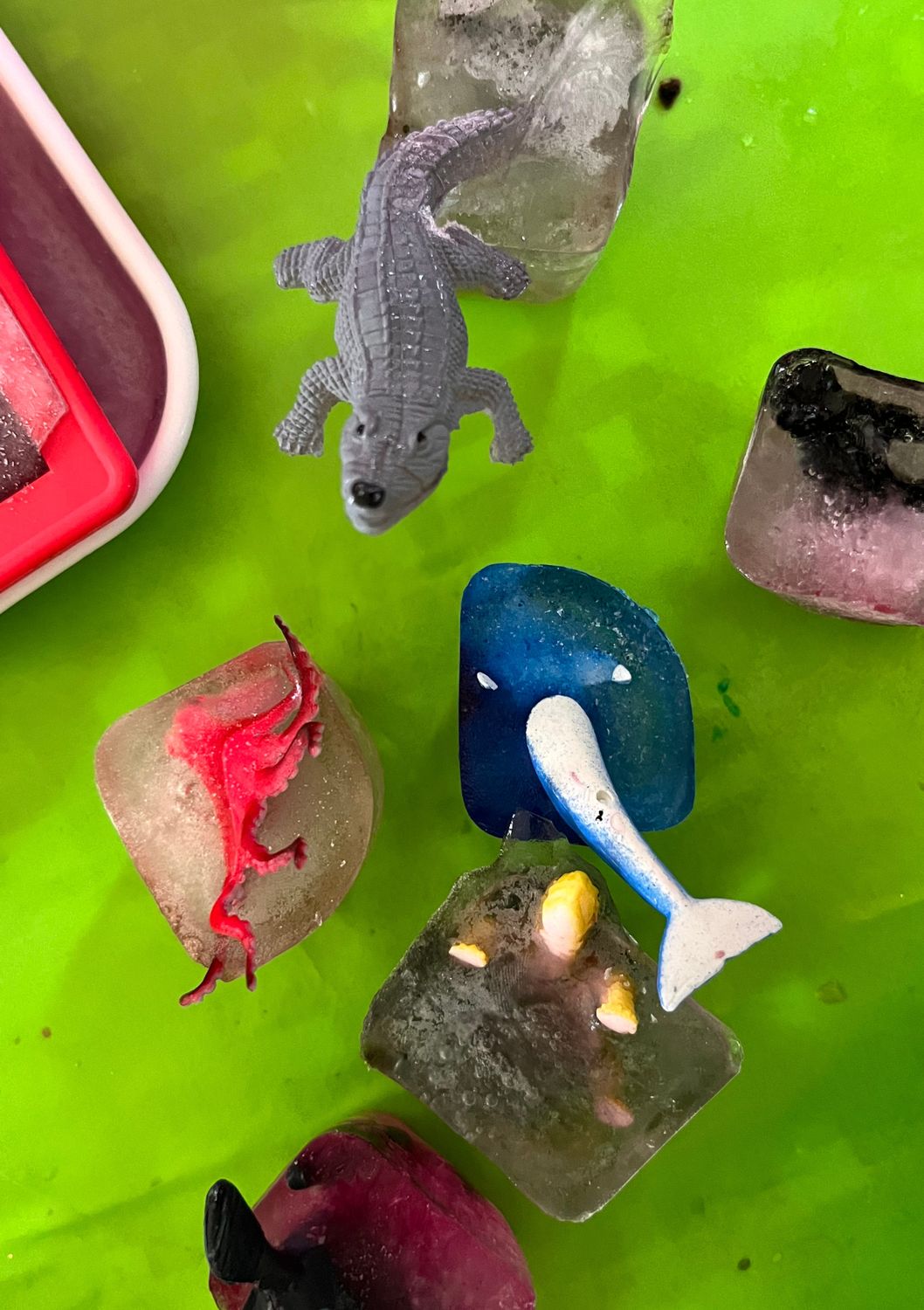 Winterexperimente (2UE)