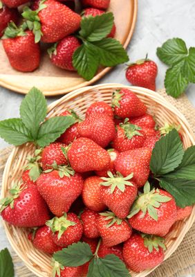 Online Fortbildung Mai 2026