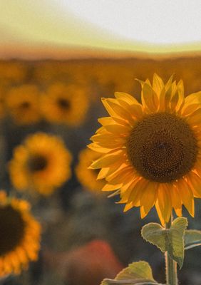 Online Fortbildung August 2026