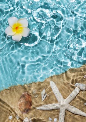 Online Fortbildungen Juli 2026