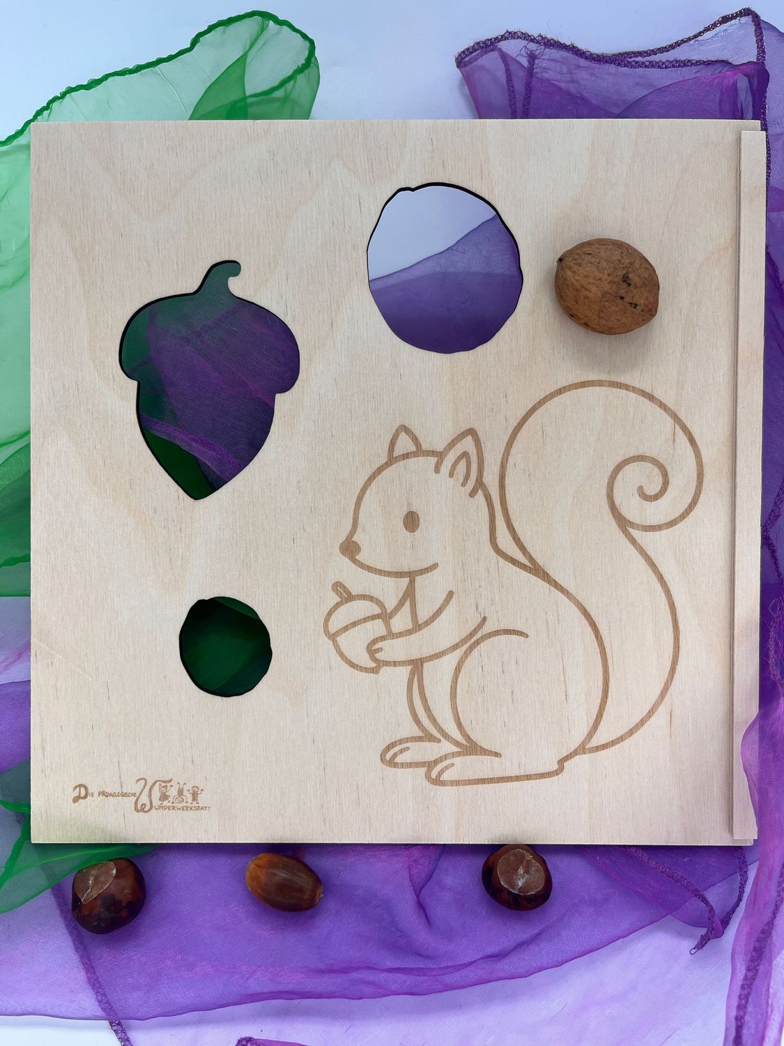 Aktivitätsplatte Eichhörchen