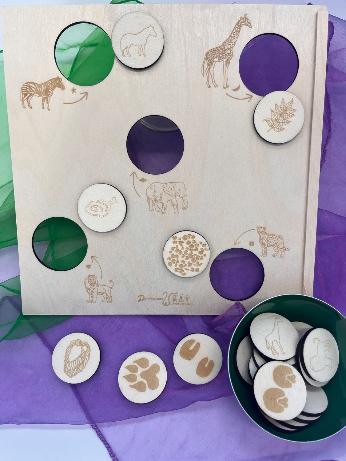 Aktivitätsplatte Safari