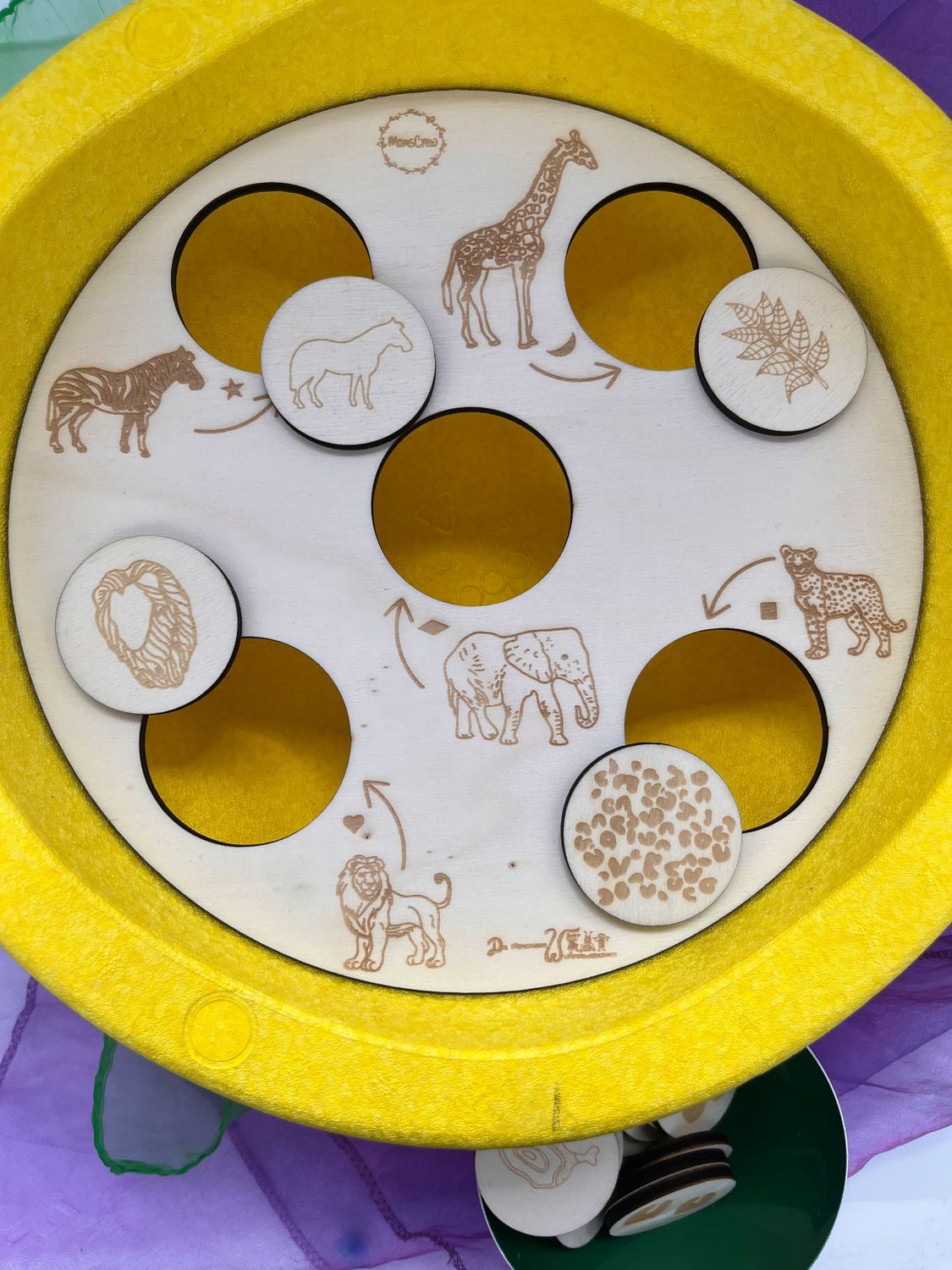 Aktivitätsplatte Safari