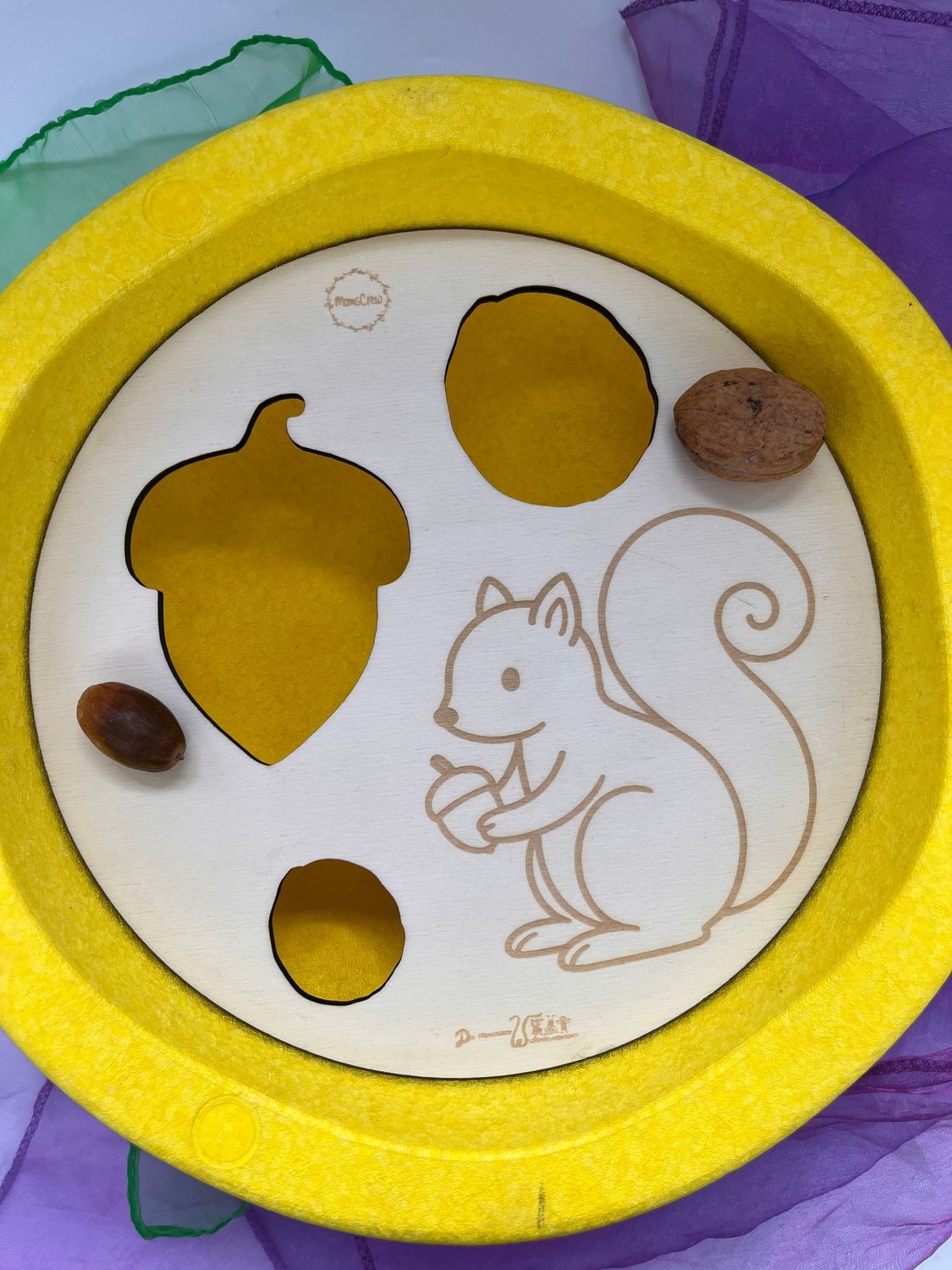 Aktivitätsplatte Eichhörnchen