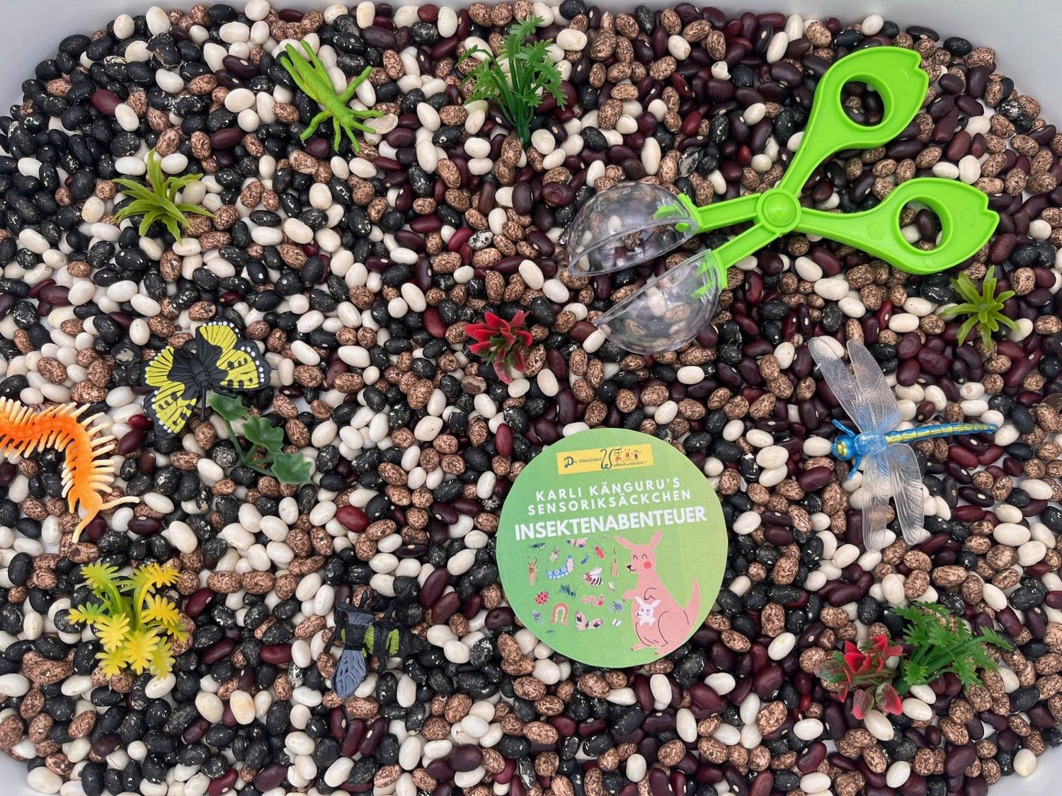 Karli Kängurus Sensoriksäckchen "Insektenabenteuer"