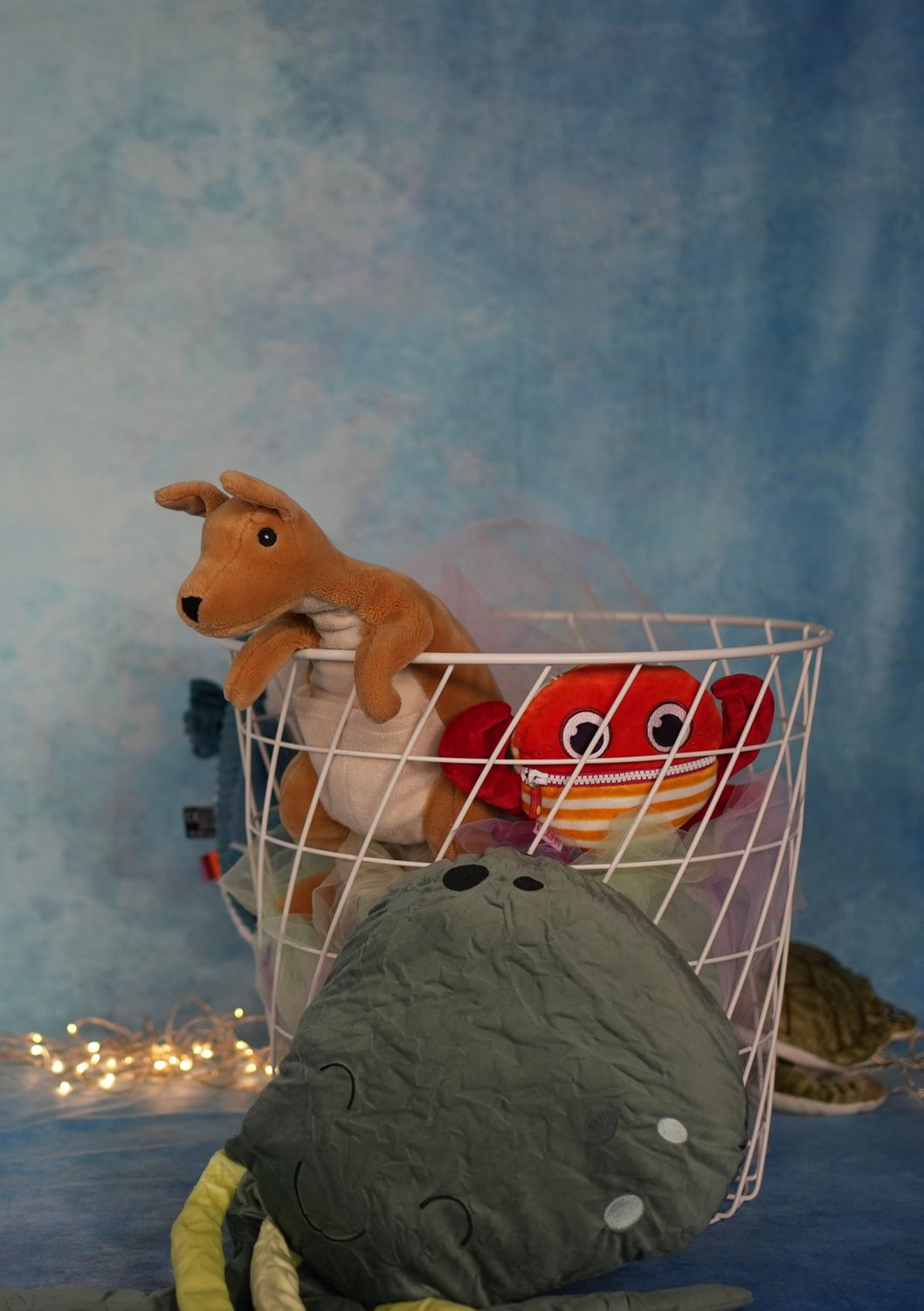 Experimente Fisch, Meer und Sonne (2UE)