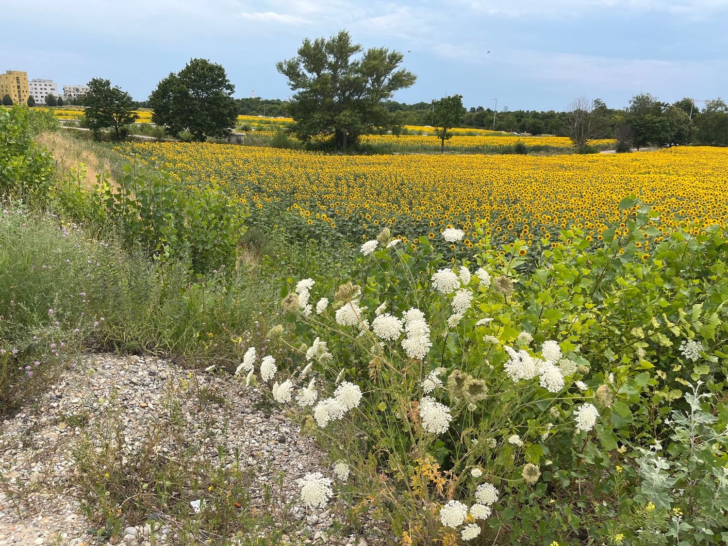 Halten statt Aushalten im Garten (2 UE)