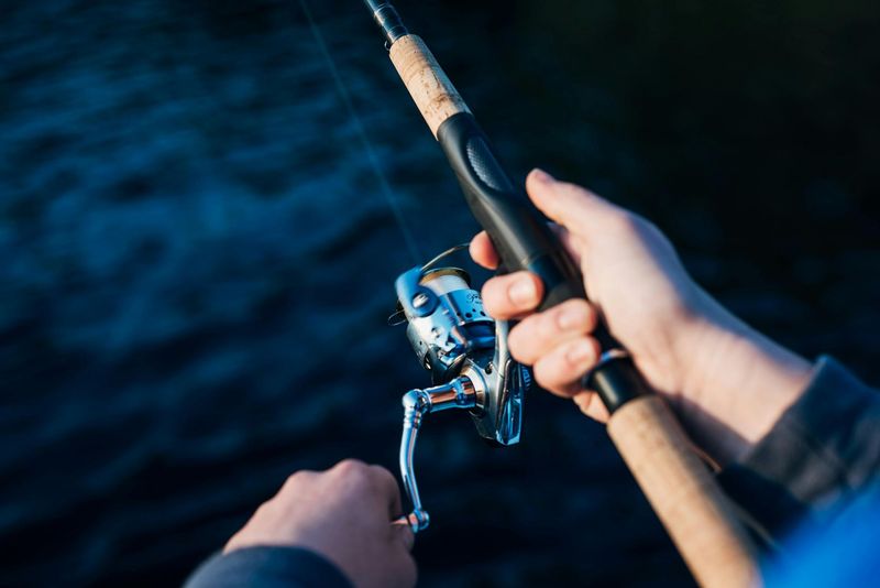 Fishing Pole (Sample Product)