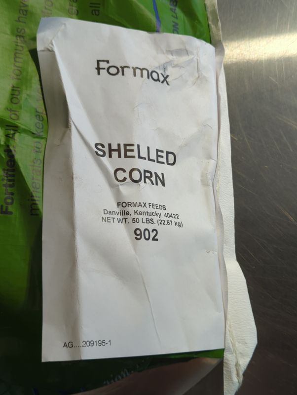 Shelled Corn