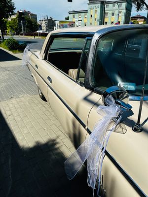 Dekoracja samochodu - pakiet BASIC