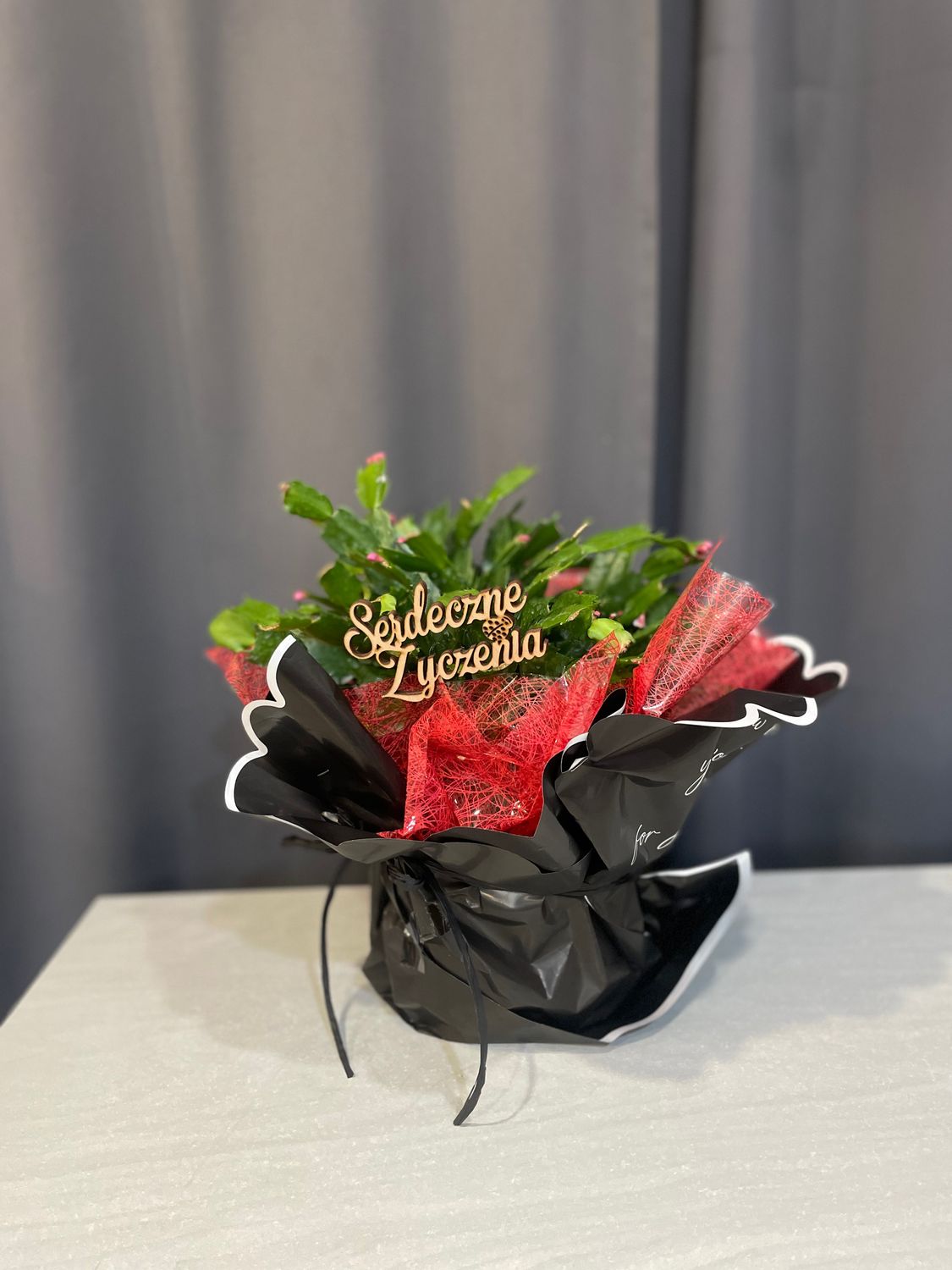 Grudzień - Kwiat doniczkowy