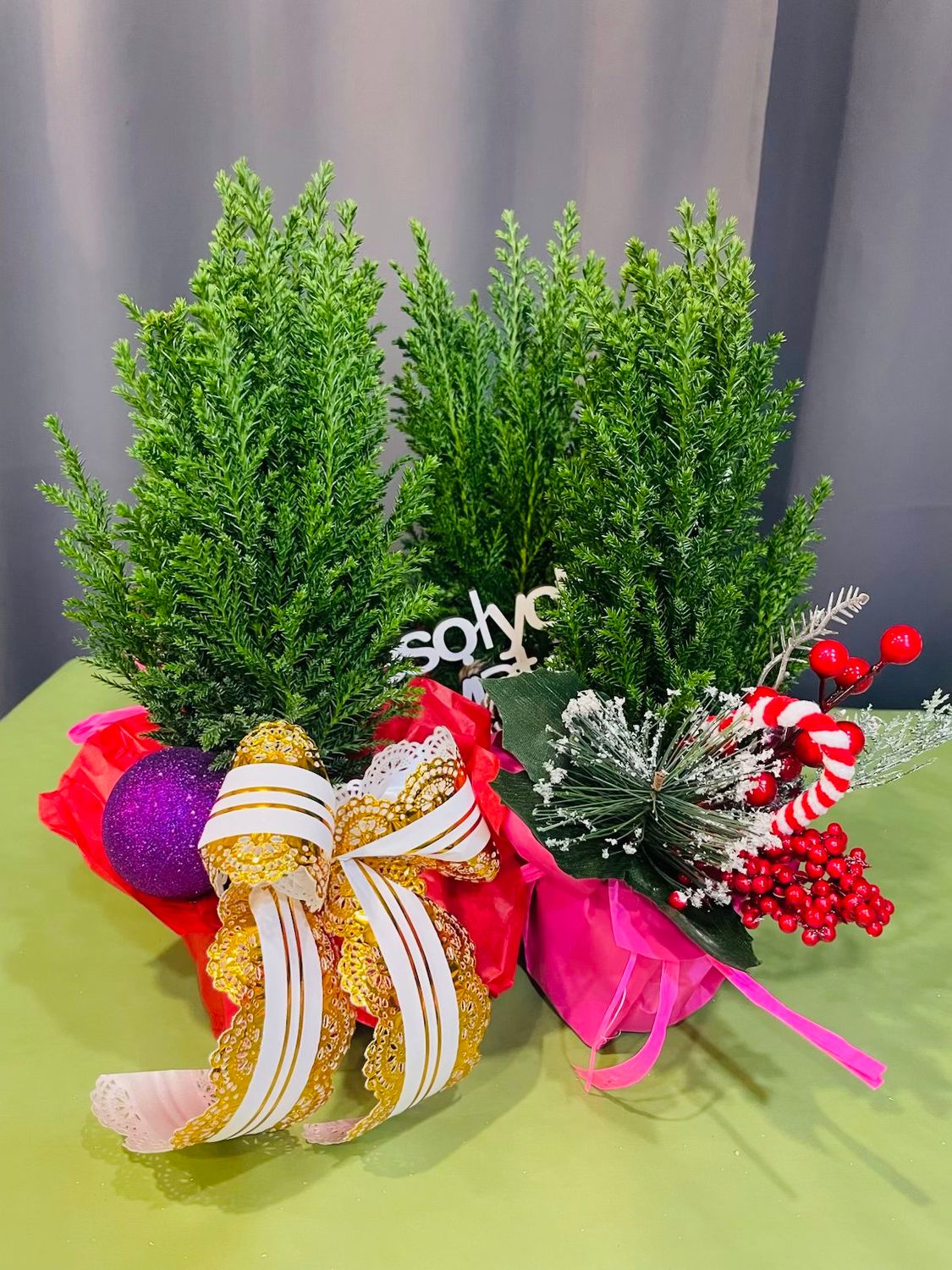 Mini choinka ze złotą kokardą