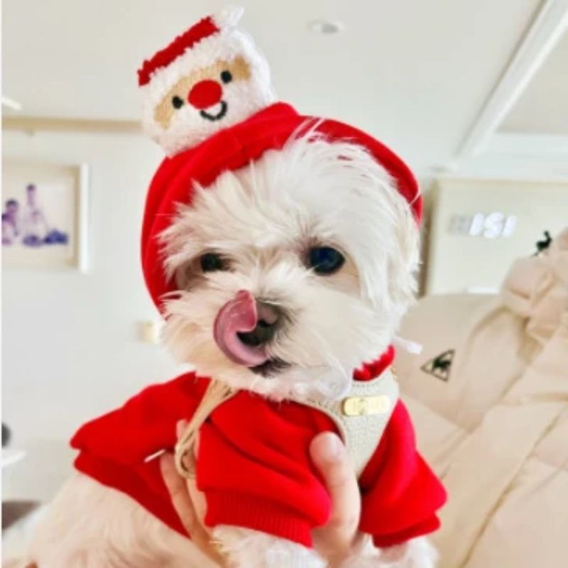 Hohoho- Dog and Cat Christmas Clothing