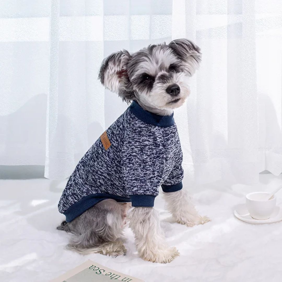 Farrell Posh Dog Clothing