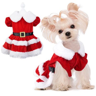 Miss Claus Dog Dress