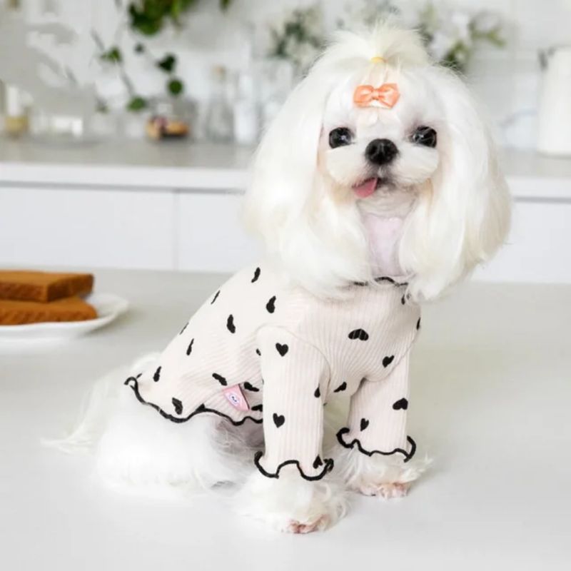 Pet Luxury Lounge A-List Dig Clothing