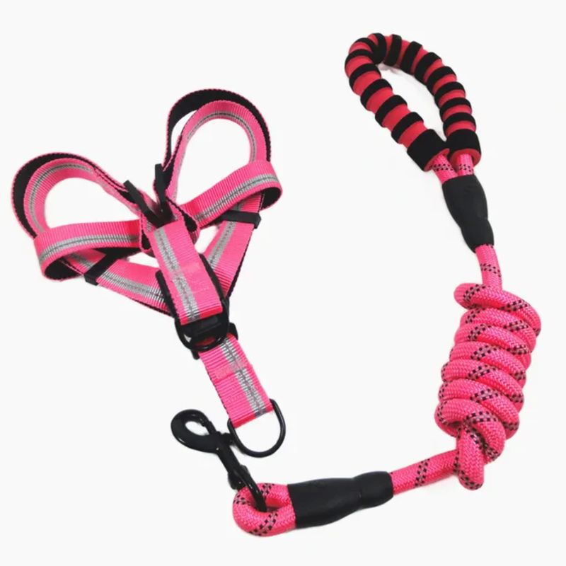 Pawsitively Perfect Princess Pet Luxury Leach Harness