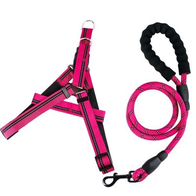 Pawsitively Perfect Queen Pet Luxury Leach Harness