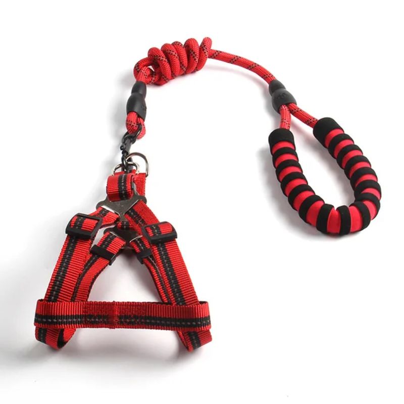 Pawsitively Perfect Red Pet Luxury Leach Harness