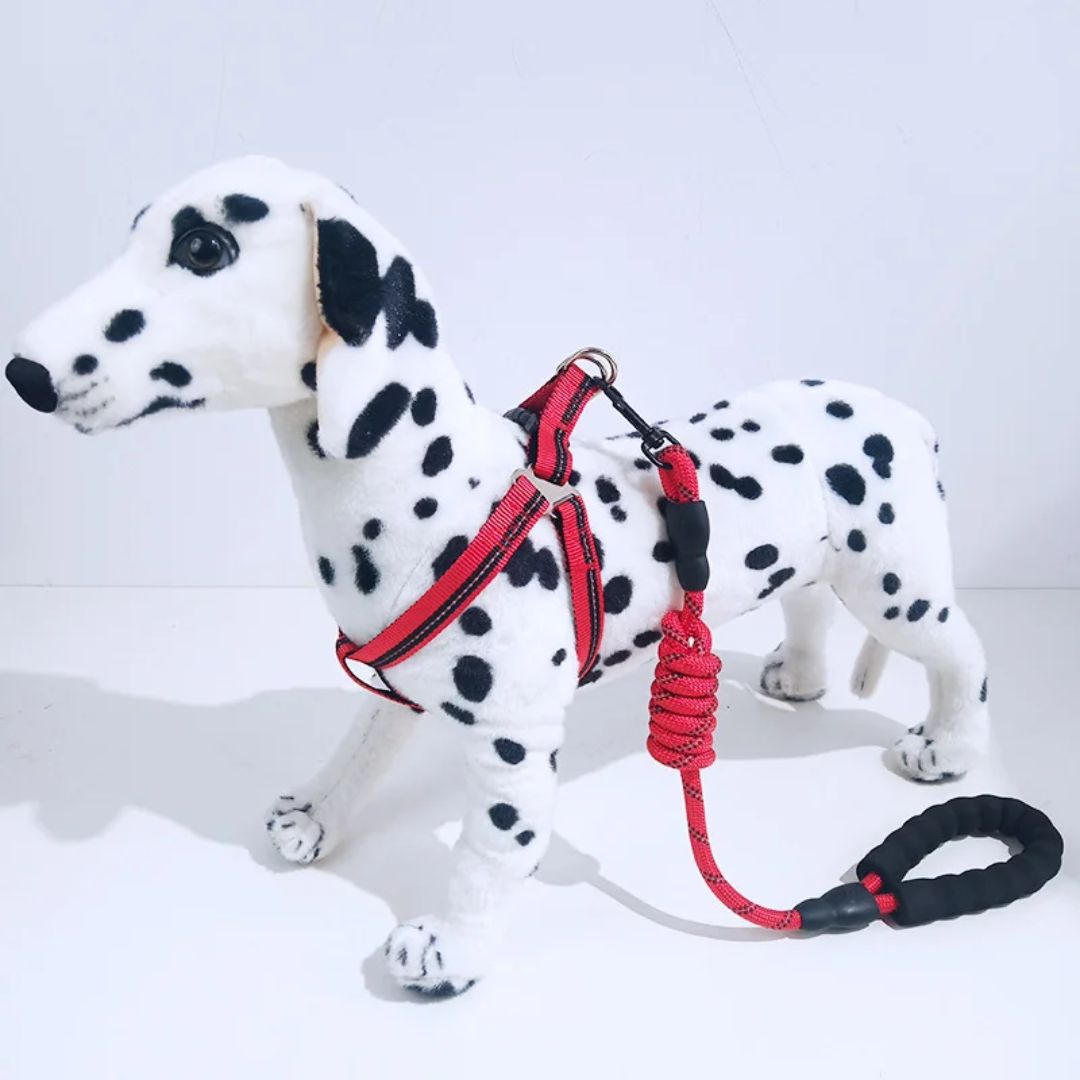 Pawsitively Perfect Red Pet Luxury Leach Harness