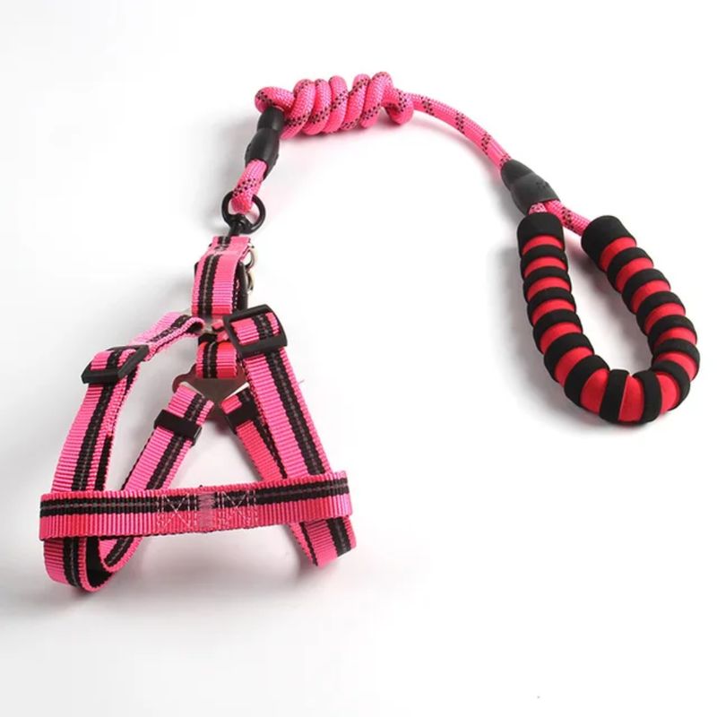 Pawsitively Perfect Furry Pet Luxury Leach Harness