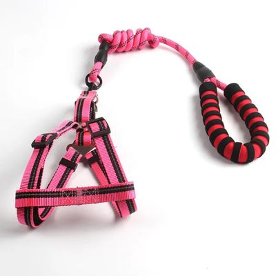 Pawsitively Perfect Furry Pet Luxury Leach Harness
