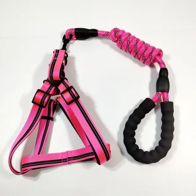 Pet Luxury Pawsitively Perfect Pink Leach Harness