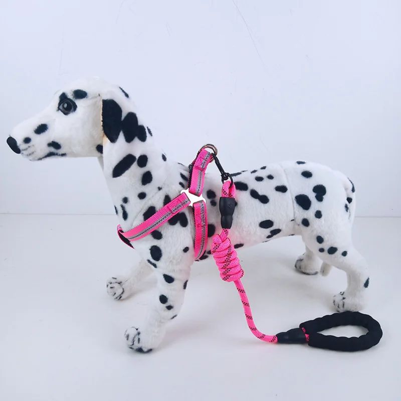 Pawsitively Perfect Furry Pet Luxury Leach Harness