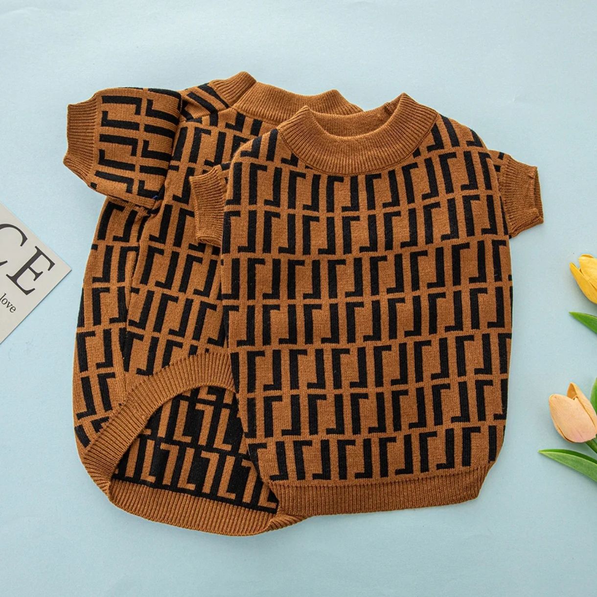 A-List Forward Fashion Dog Jersey