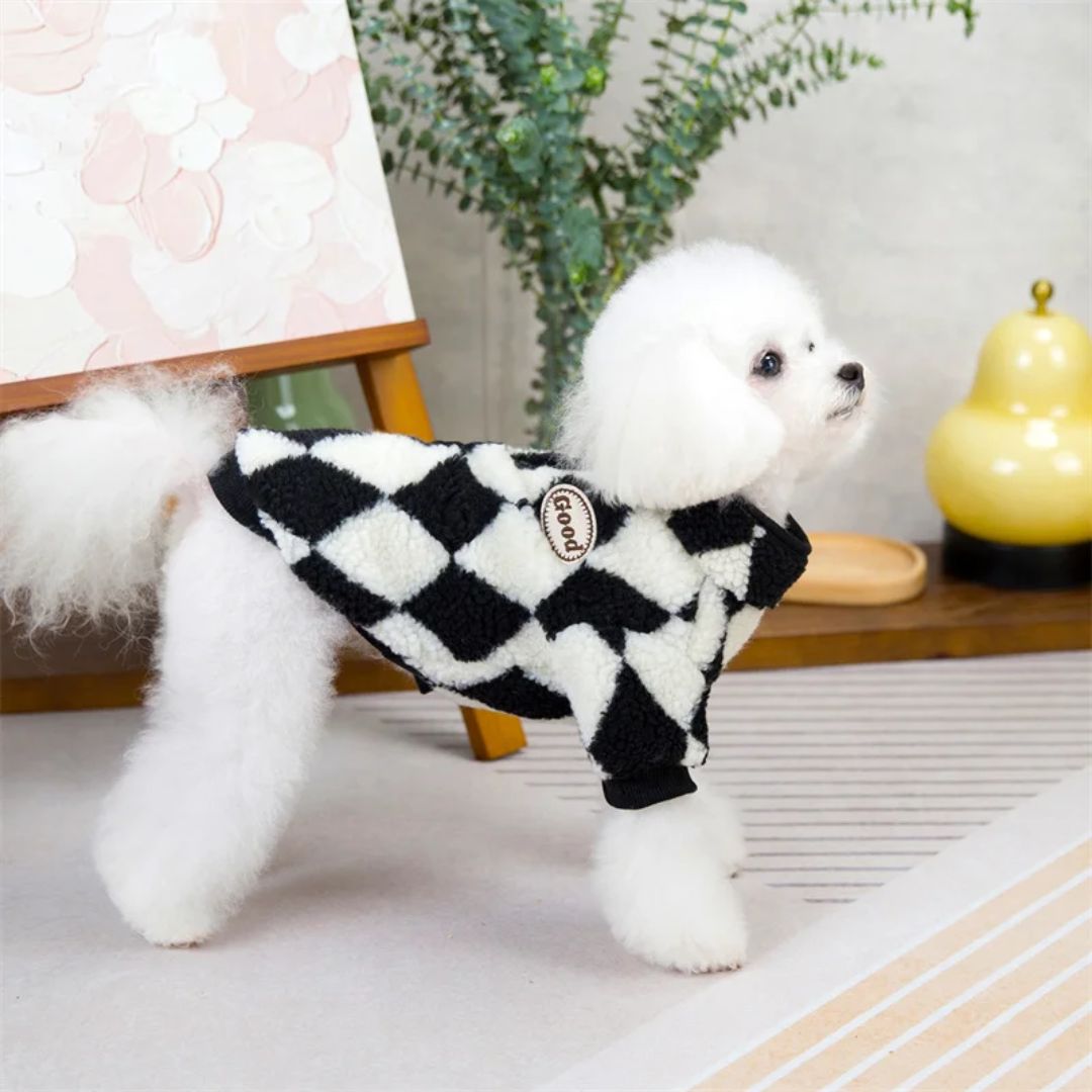 Good Doggie Wear-Black And White Good Doggie Wear-Black And White