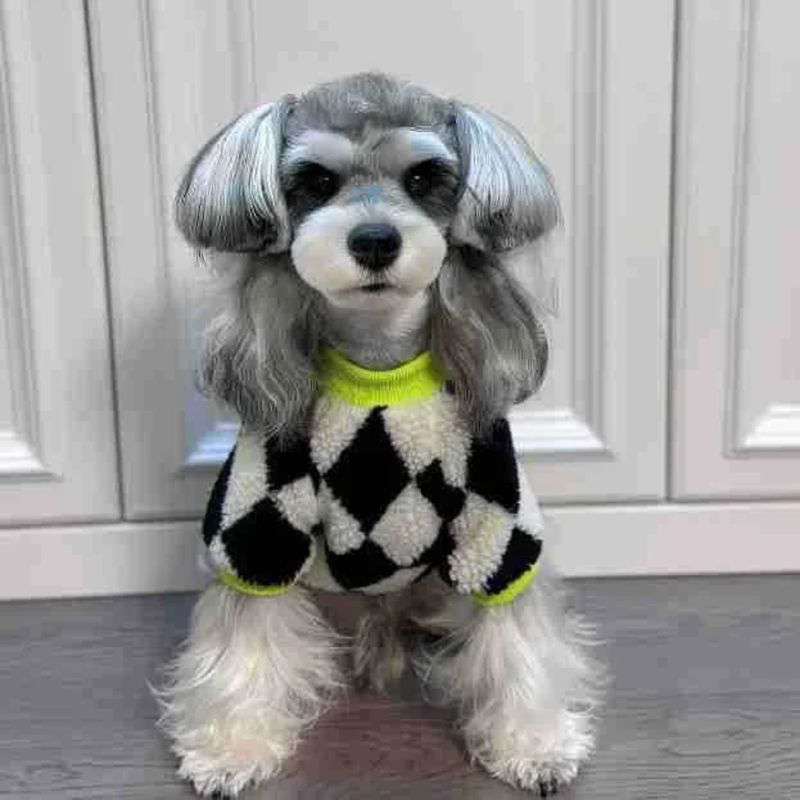 A-List Luxury Dog Jersey