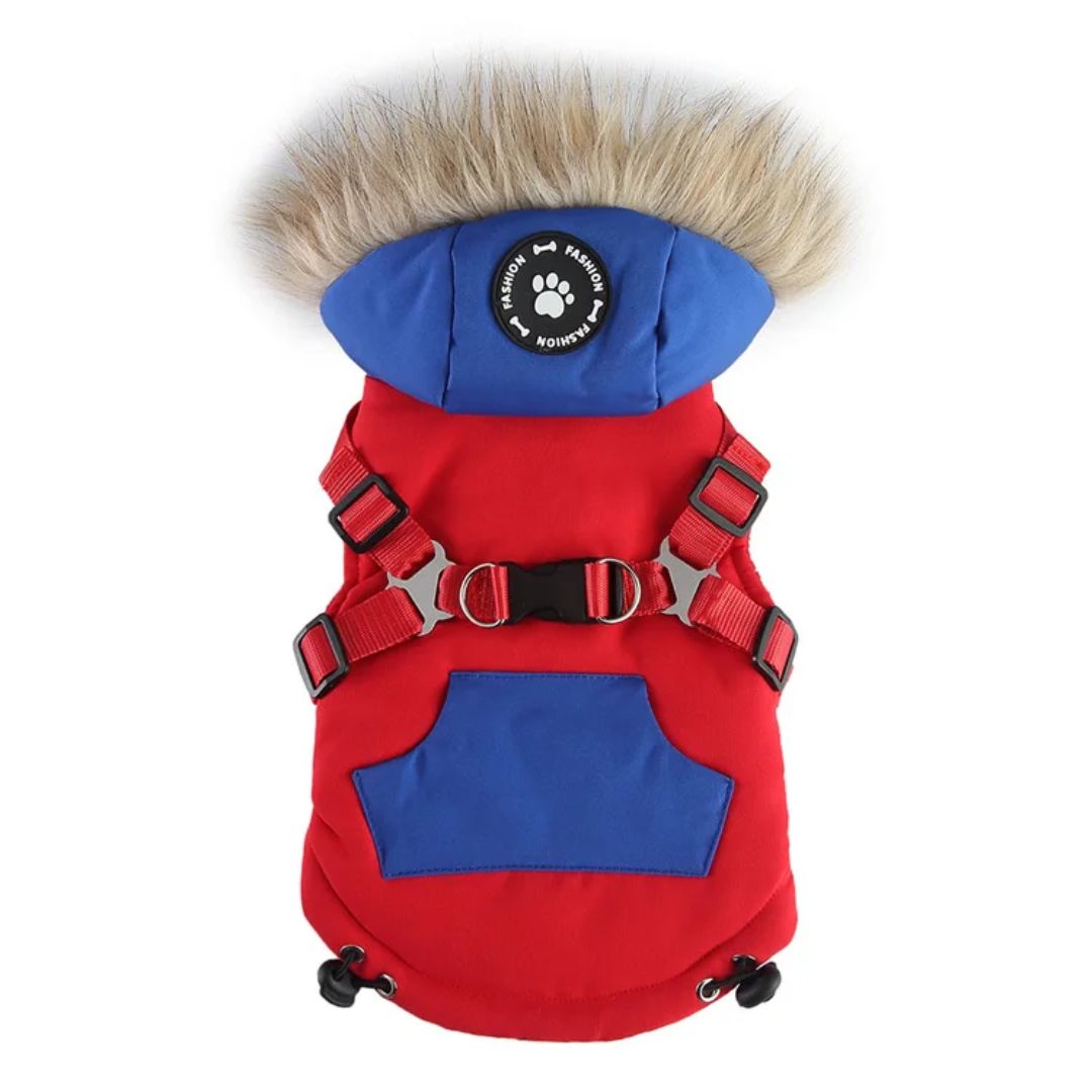 South Facing Dog Jacket