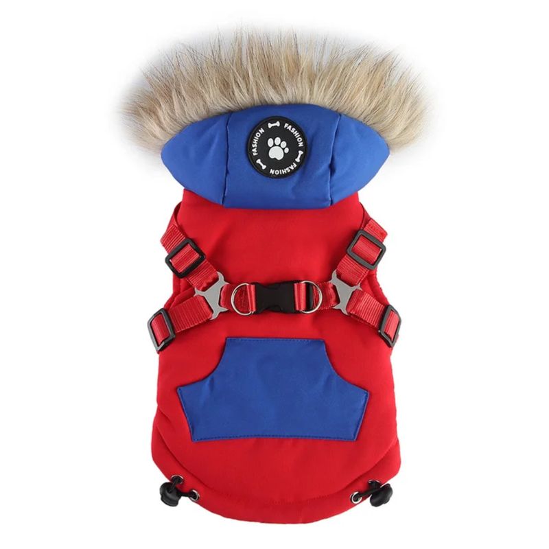 South Facing Dog Jacket