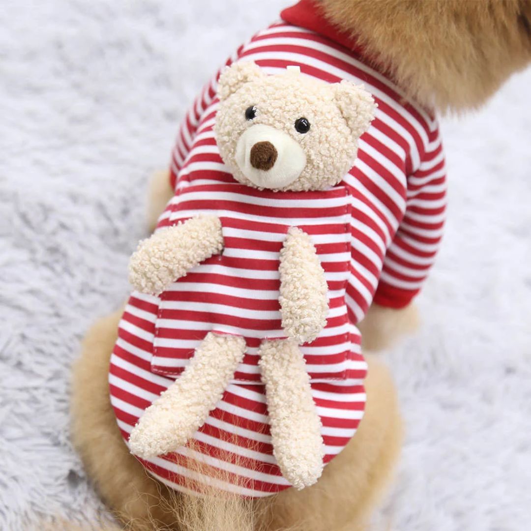 Teddy GM Collection Dog Jersey ( Red)
