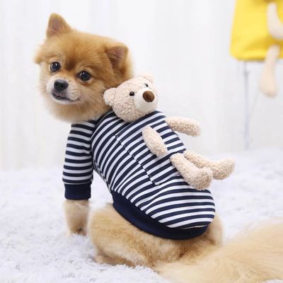 Teddy GM Collection Dog Jersey ( Blue)