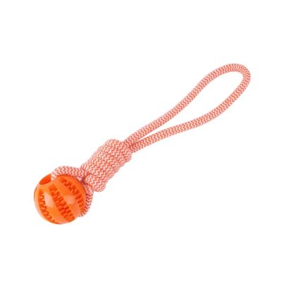 PAWS Dog Treat Ball Pet Toy-Orange