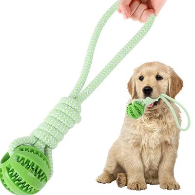 PAWS Dog Treat Ball Pet Toy ( Green) PAWS Dog Treat Ball Pet Toy ( Green)