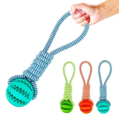 PAWS Dog Treat Ball Pet Toy ( Blue)