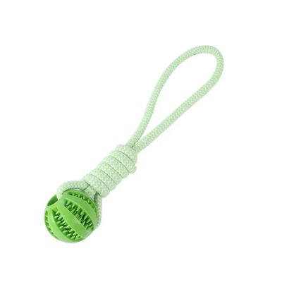 PAWS Dog Treat Ball Pet Toy-Green