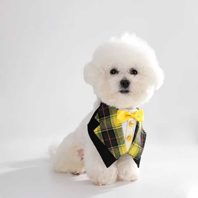 Fashion Forward Pet Taxido