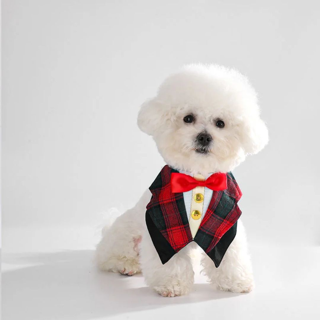 Fashion Forward Pet Taxido ( Red)